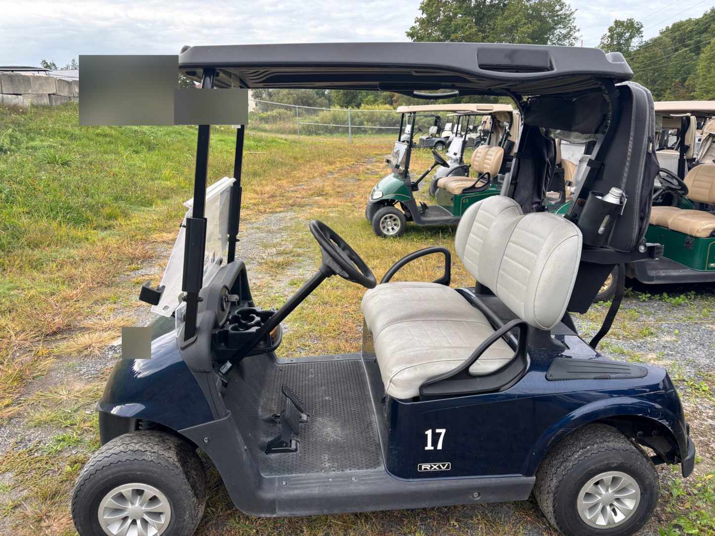 2020 EZGO RXV Electric