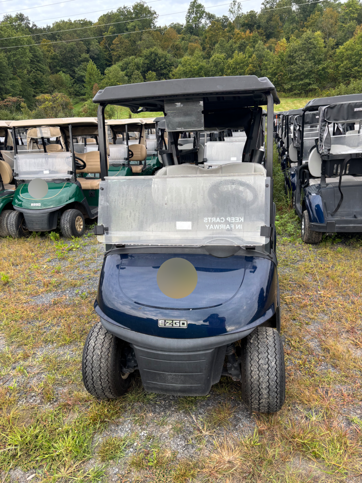 2020 EZGO RXV Electric