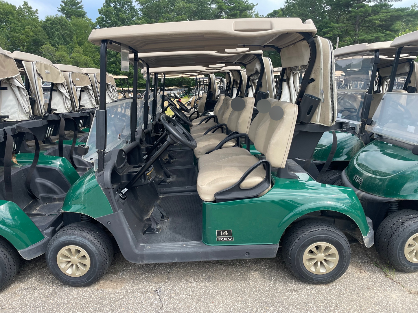 2019 EZGO RXV Electric
