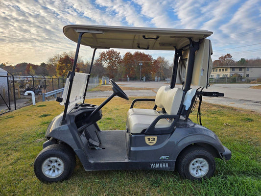 2020 Yamaha Drive 2 Electric AC