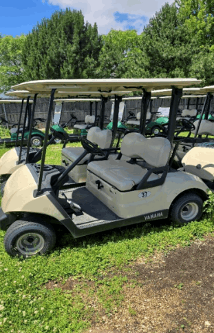 2017 Yamaha Drive 2 Gas