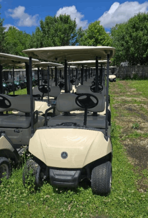 2017 Yamaha Drive 2 Gas
