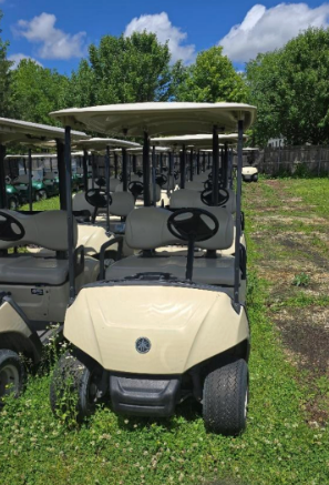 2017 Yamaha Drive 2 Gas