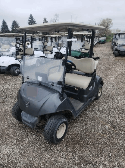 2019 Yamaha Drive 2 Electric