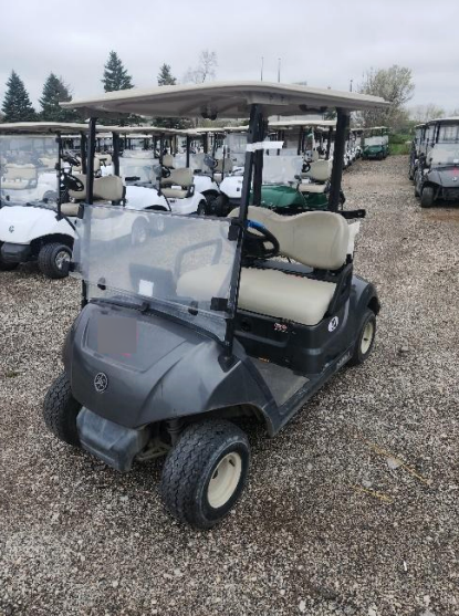 2019 Yamaha Drive 2 Electric