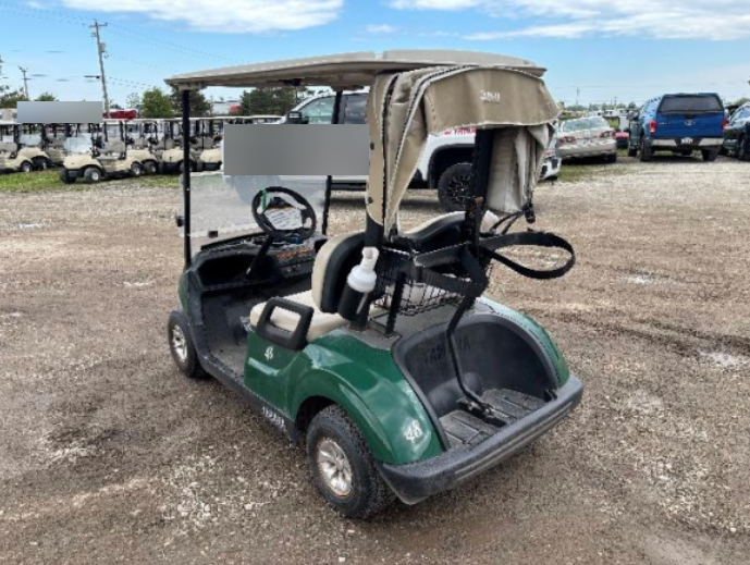 2018 Yamaha Drive 2 Electric