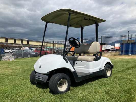 2015 Yamaha Drive 2 Gas EFI