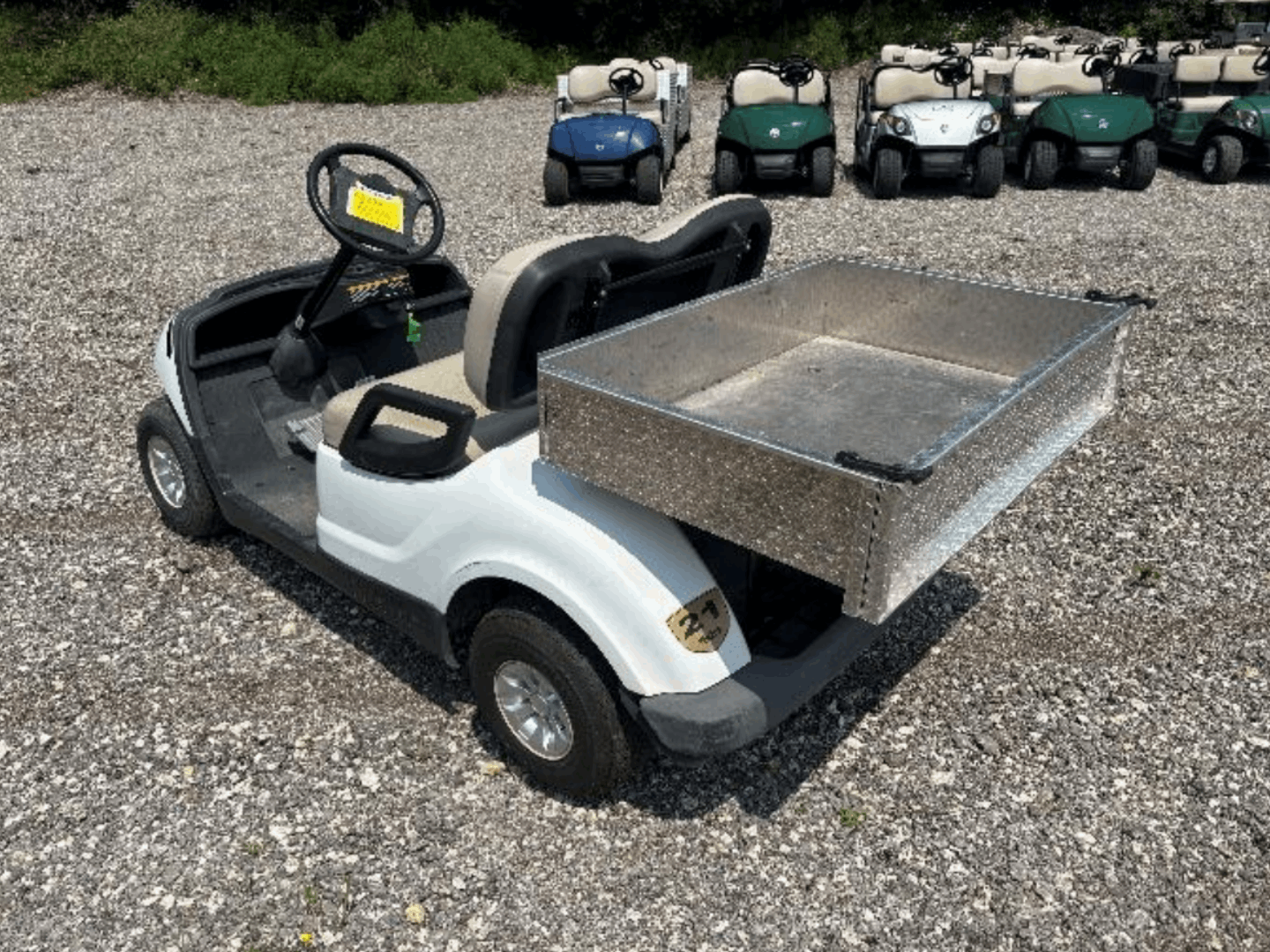 2009 Yamaha Drive 2 Utility Electric