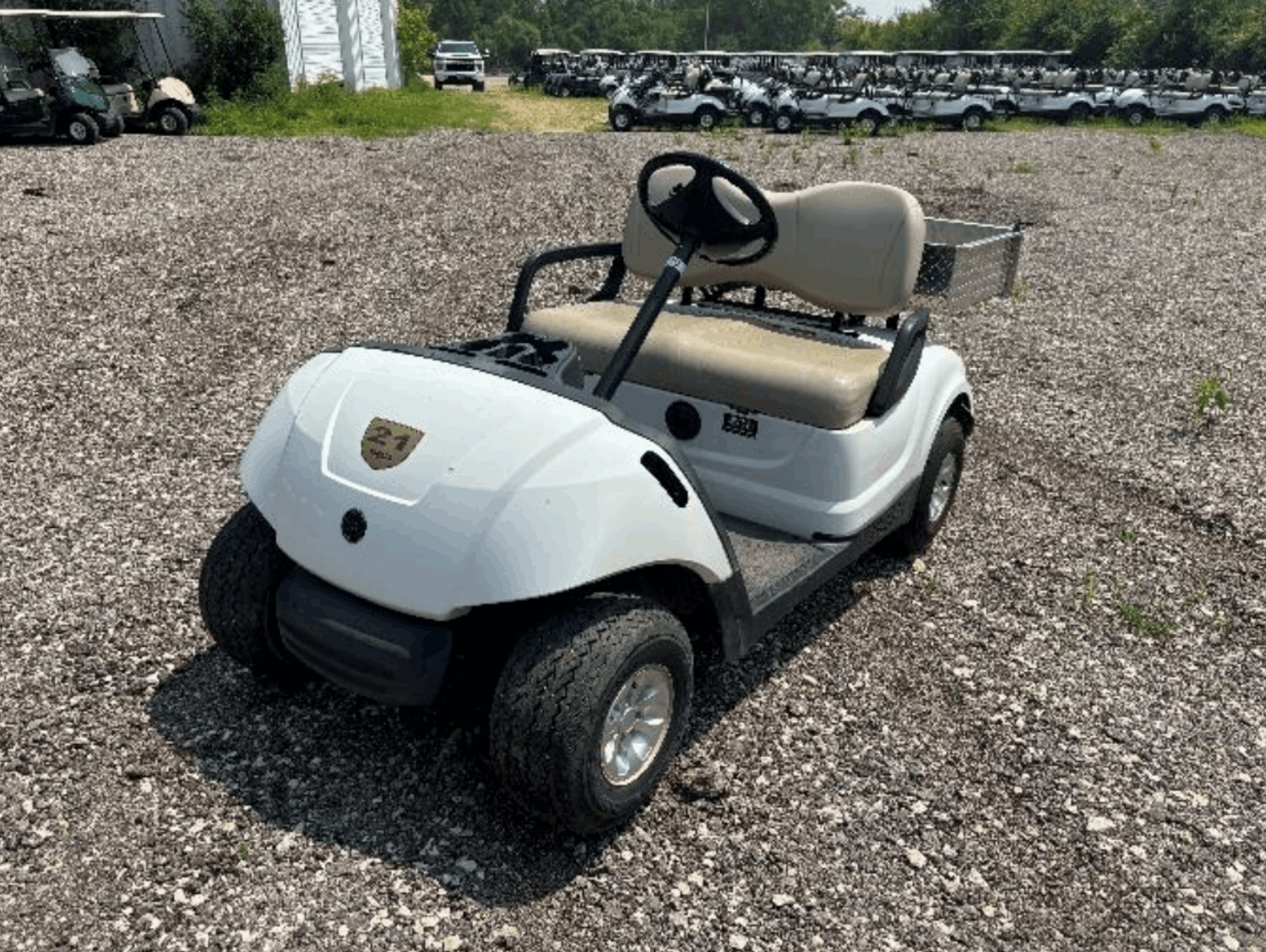 2009 Yamaha Drive 2 Utility Electric