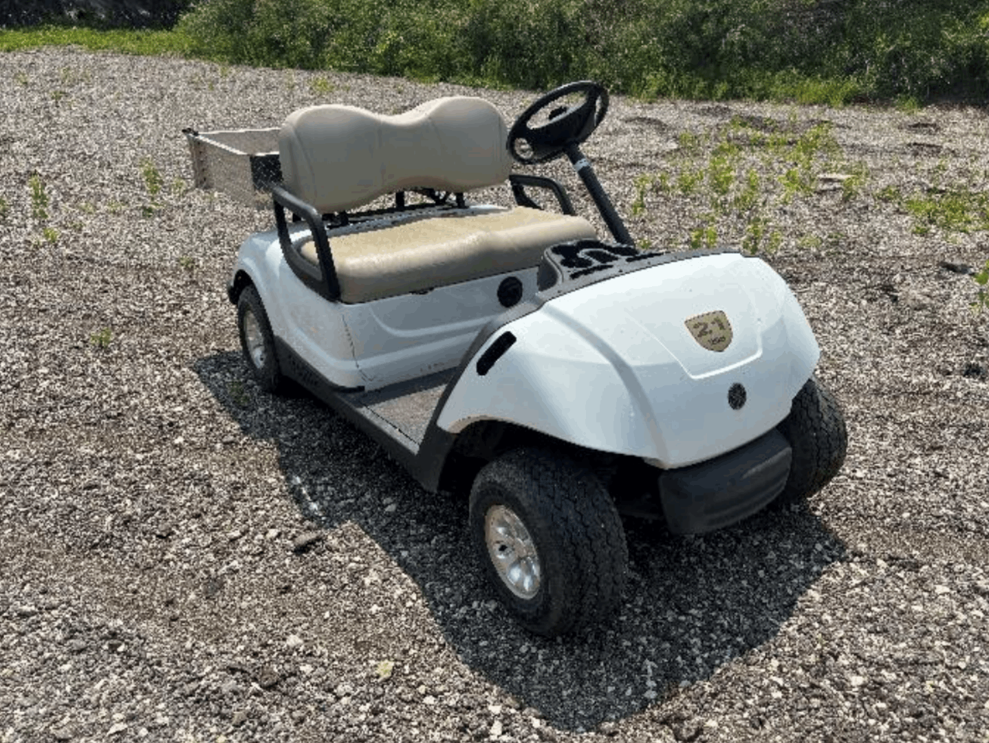 2009 Yamaha Drive 2 Utility Electric