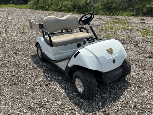 2009 Yamaha Drive 2 Utility Electric