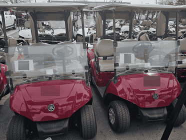 2021 Yamaha Drive Electric AC