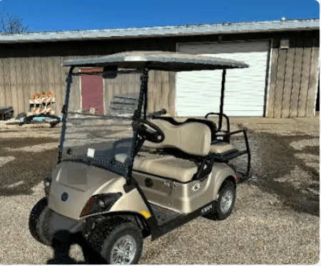 2018 Yamaha Drive 2 PTV Electric AC