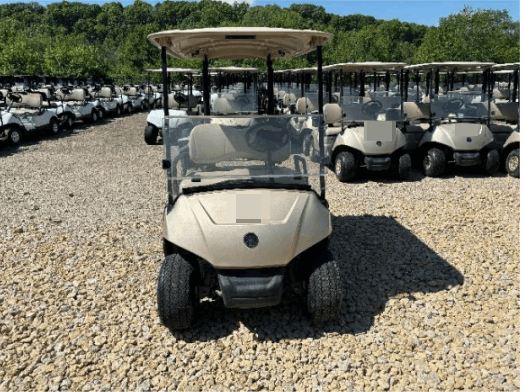 2018 Yamaha Drive 2 Electric