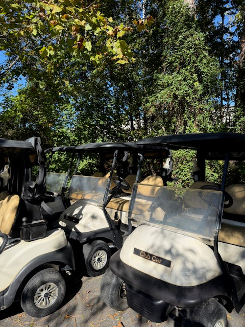 2021 Club Car Precedent Gas EFI