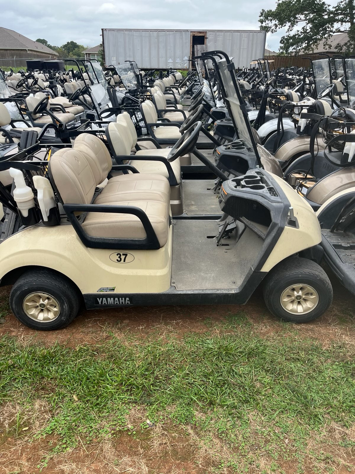 2021 Yamaha Drive 2 Electric AC