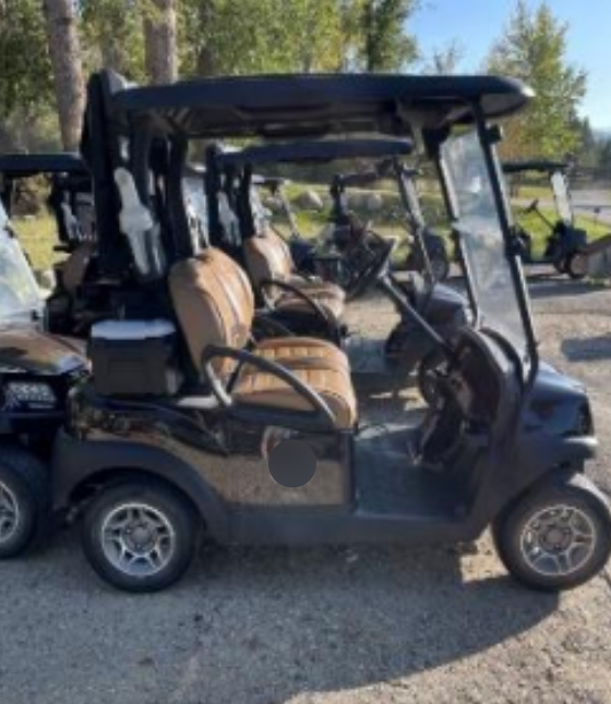 Club CarTempoLithiumMocha