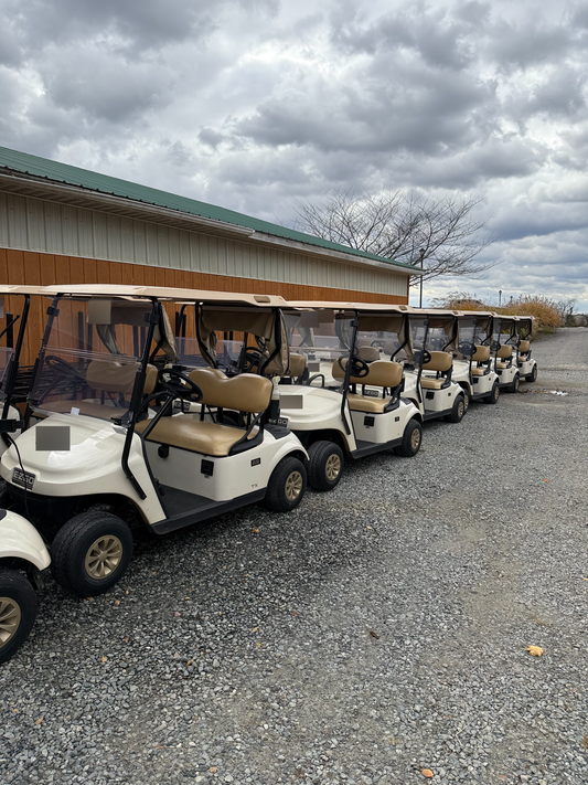 EZGOTXTElectricWhite