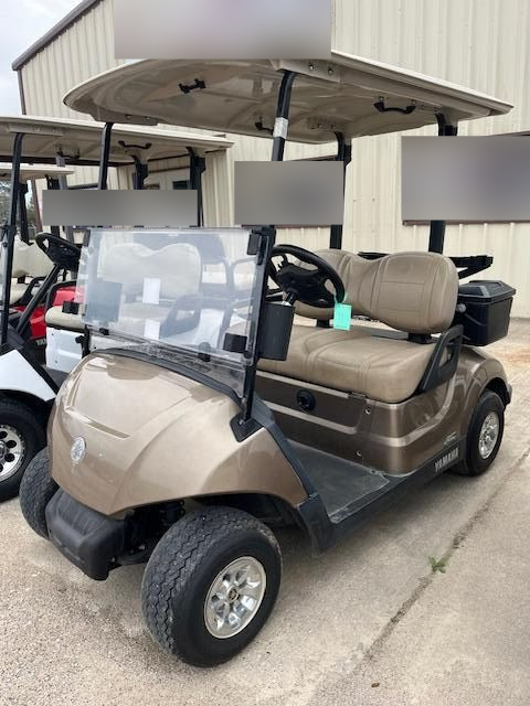 2021 Yamaha Drive 2 Electric AC