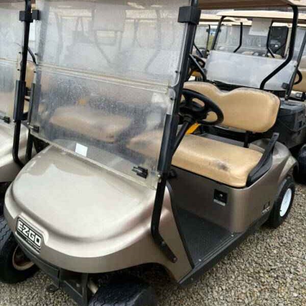 2019 EZGO TXT