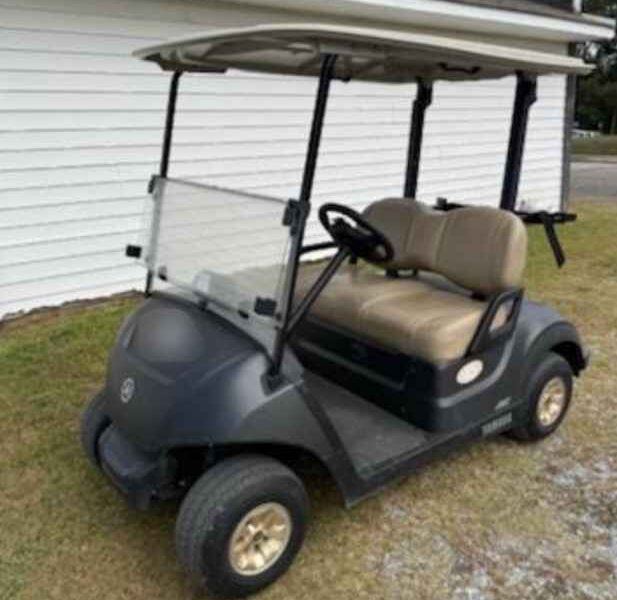 2024 Yamaha Drive 2 Electric AC