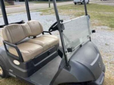 2024 Yamaha Drive 2 Electric AC