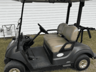 2024 Yamaha Drive 2 Electric AC