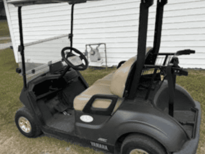 2024 Yamaha Drive 2 Electric AC