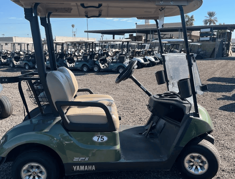 2024 Yamaha QuieTech Gas EFI