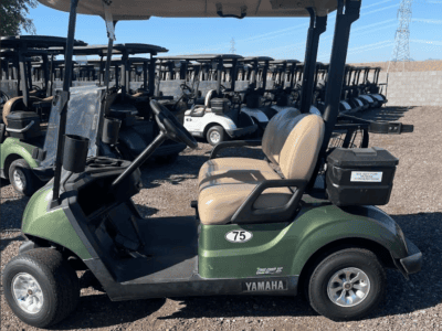 2024 Yamaha QuieTech Gas EFI