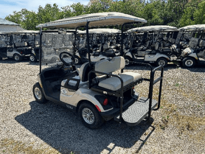 2021 Yamaha Drive 2 Electric AC